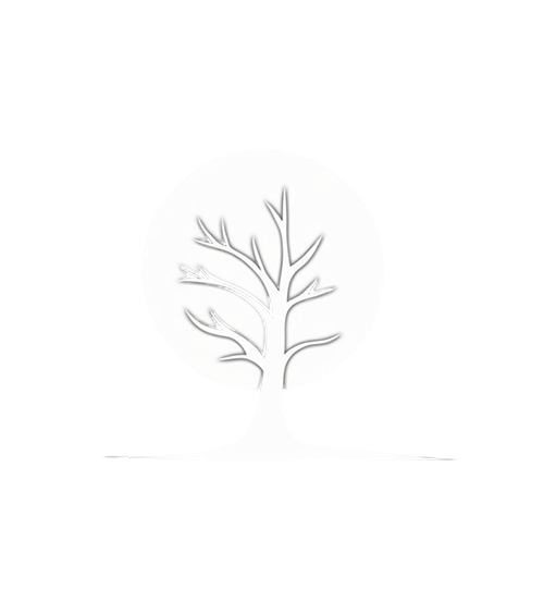 artist image